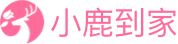 小鹿到家